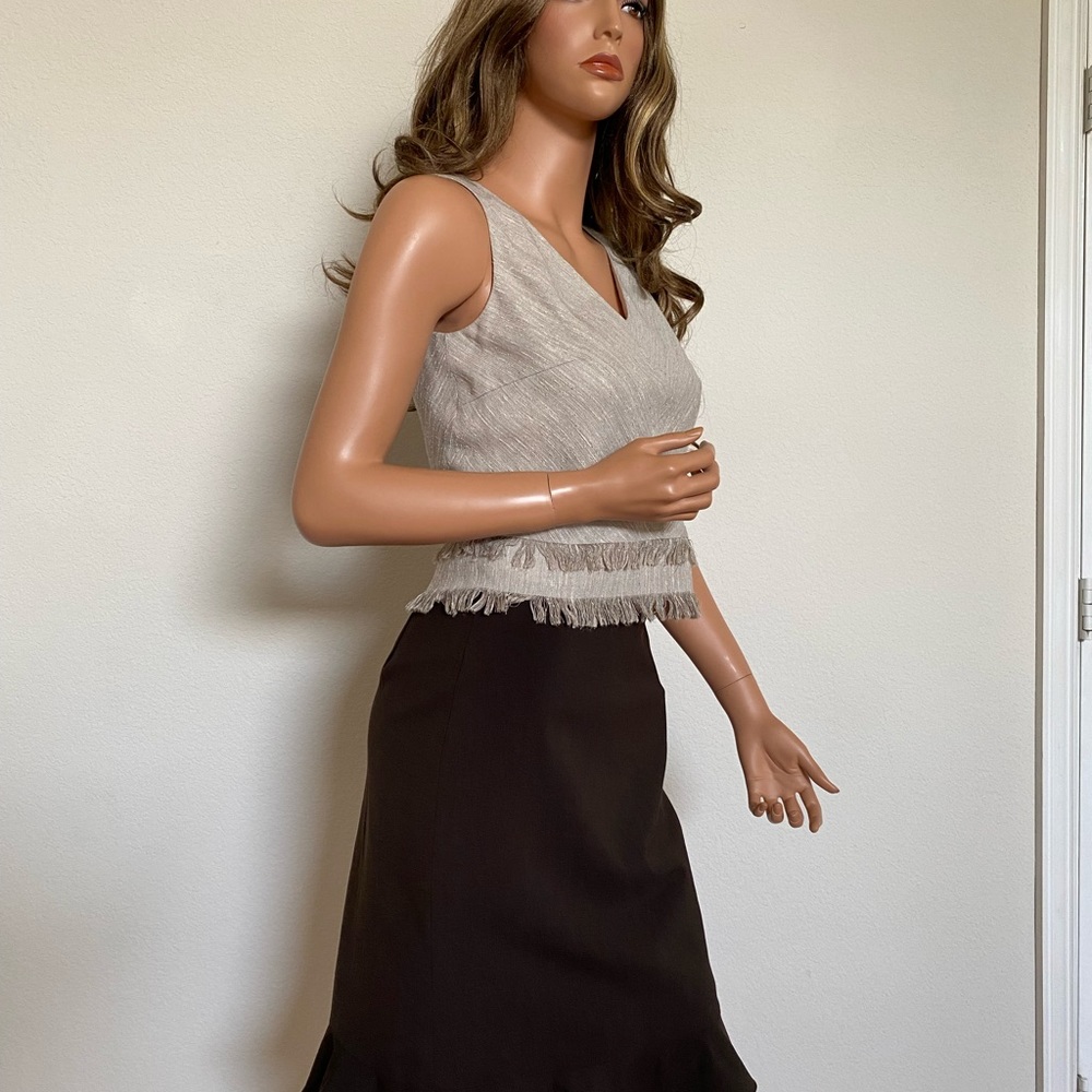 NWT Two Piece Set Business Casual Formal Beige Brown Dress Size 4